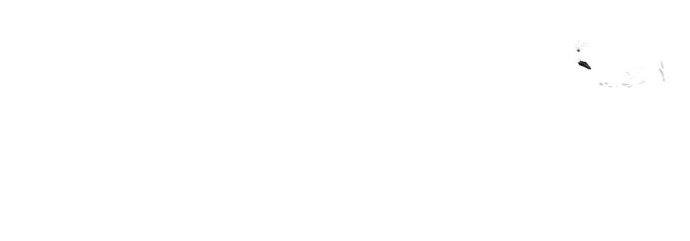 Proud Member of The Celebrant Society Landscape - White